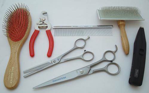 Student or Pet Dog Grooming Kit