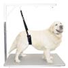 Show Tech Padded Grooming strap, large