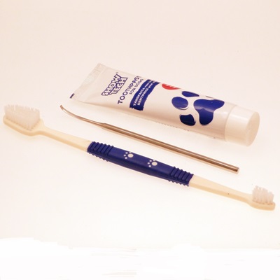 Dog Dental Care Kit - Large