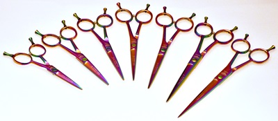 Black Friday Event Free scissors case with any 2 Rainbow scissors