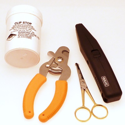 Dog paw care kit