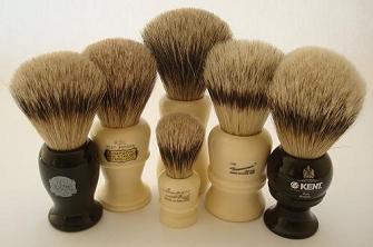 slicker and pin brushes