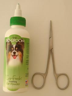 Ear Care