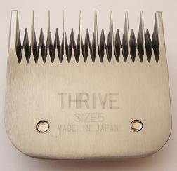 Thrive 808-2 2