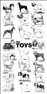 Poster - toys