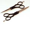 Ama Silhouette Black Hairdressing scissors