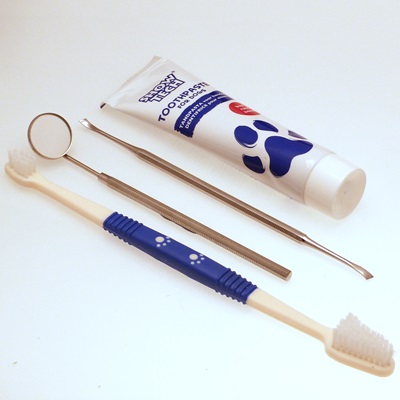 Dog Dental Hygiene kit with toothbrush, toothpaste, scaler & mirror