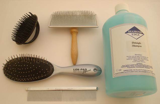 Detangle Shampoo kit