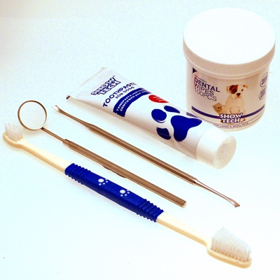 Dog Dental Hygiene kit with toothbrush, toothpaste, scaler, mirror & wipes