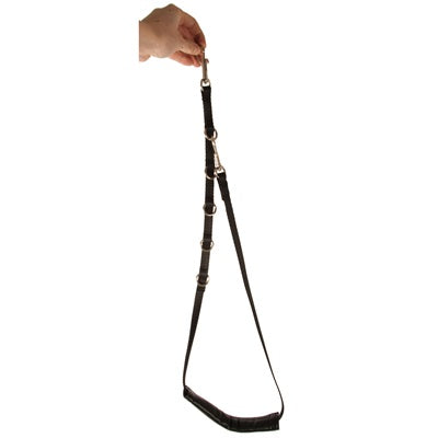 2924-Show-Tech-Padded-Grooming-Strap-Small.jpg