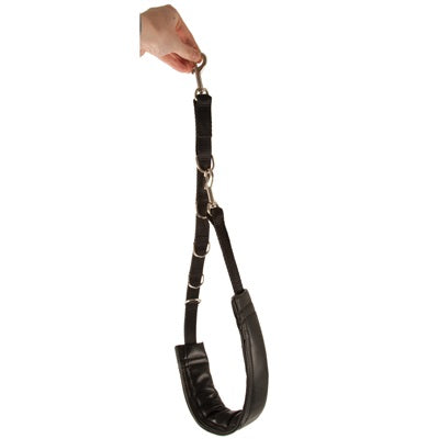 2925-Show-Tech-Padded-Grooming-Strap-Large.jpg