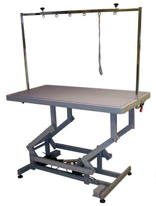568_Aeolus_electric_grooming_table_(FT806)_.jpg