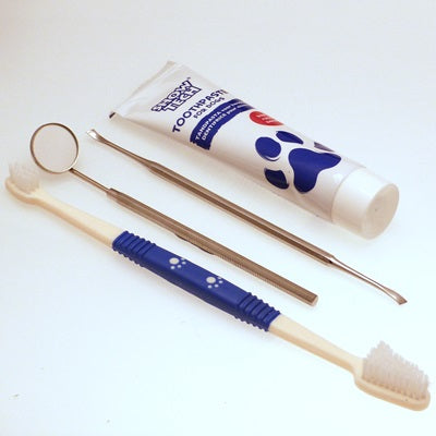 7044-Dog-Dental-Hygiene-Kit-With-Toothbrush-Toothpaste-Scaler-And-Mirror.jpg