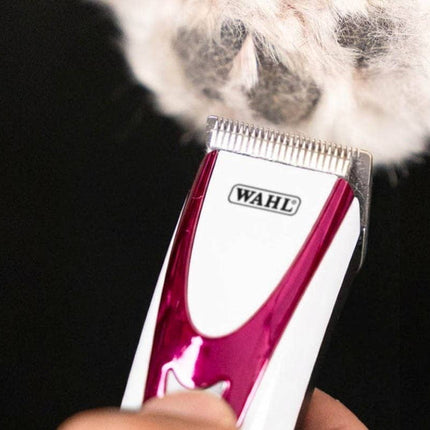Wahl Fidela Pro trimming around a dog's face