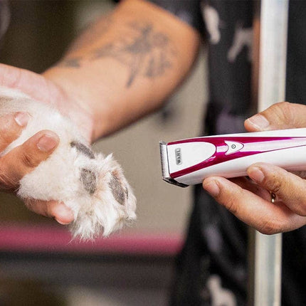 Wahl Fidela Pro trimming a dog's paw